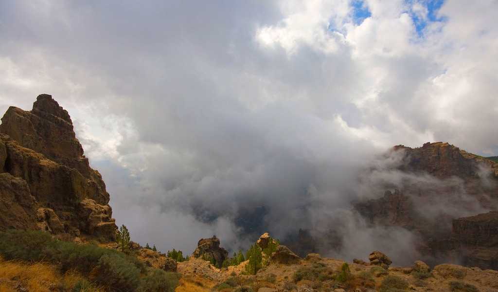 Featured Image 29771