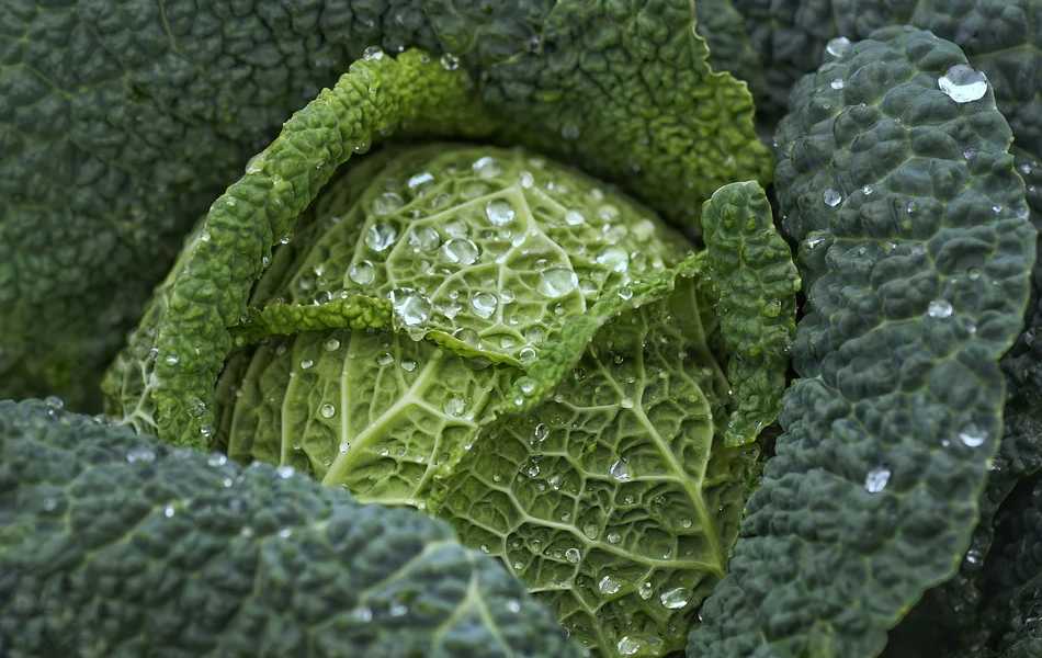 Featured Image 29801