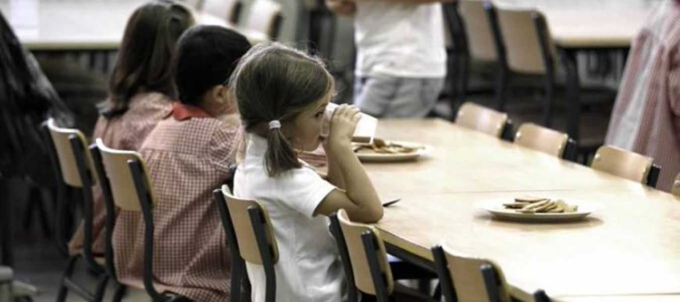 Featured Image 29965