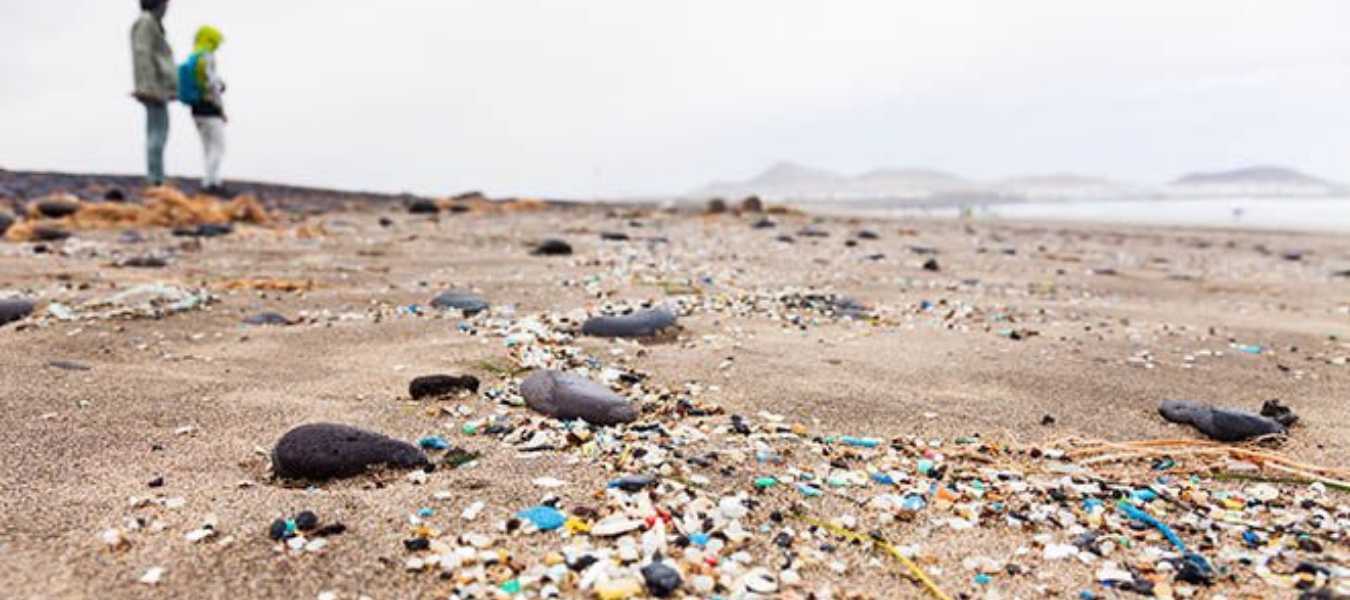 Featured Image 30043