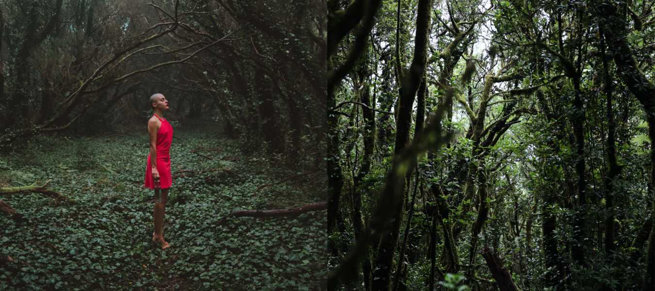 Featured Image 30093