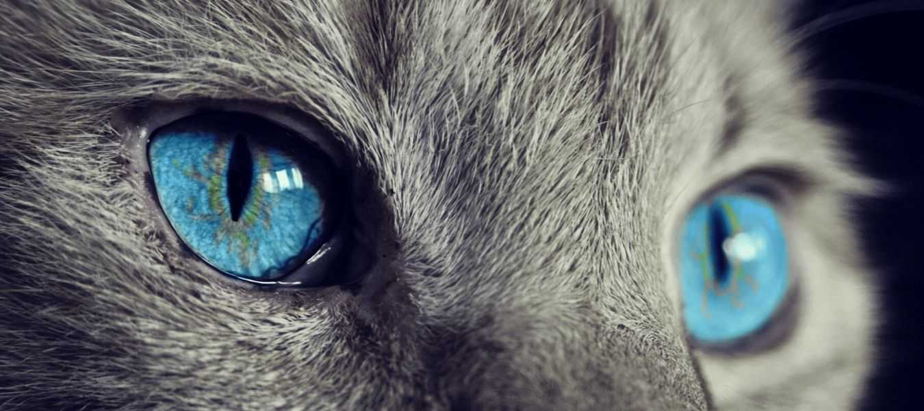 Featured Image 30299