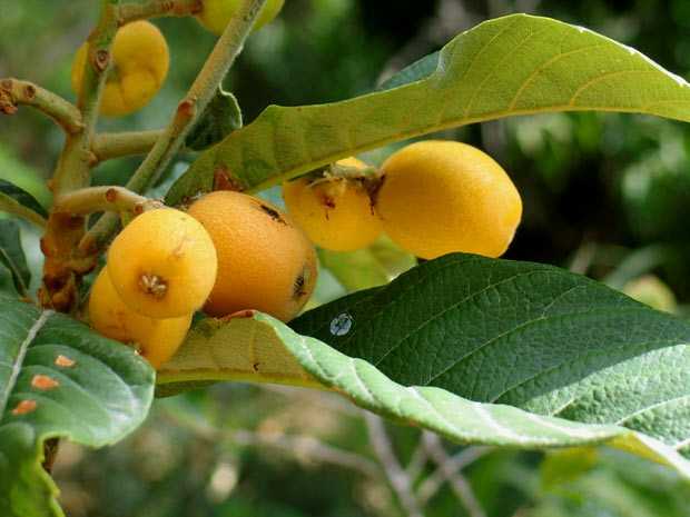 Featured Image 30475