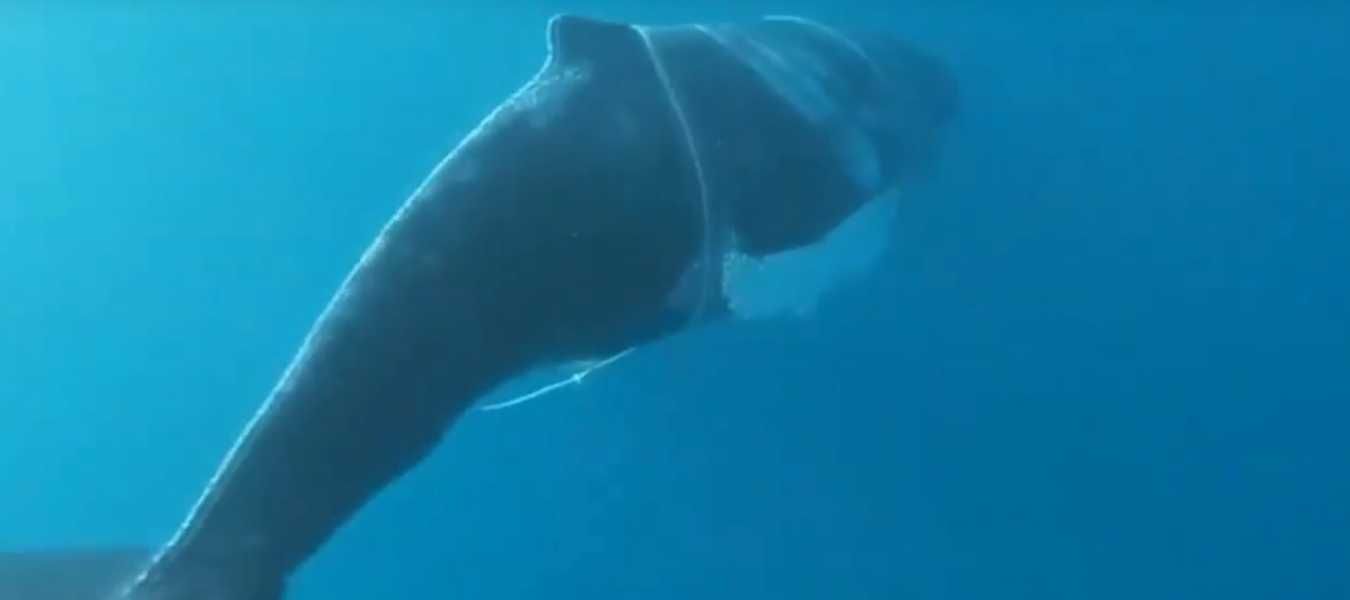 Featured Image 30947