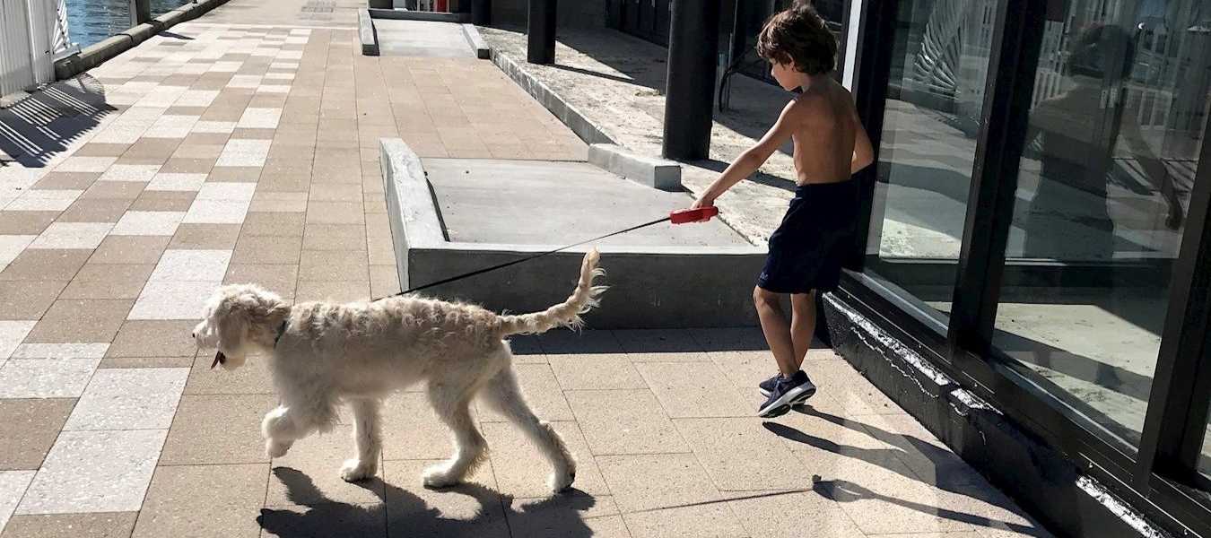 Featured Image 30973