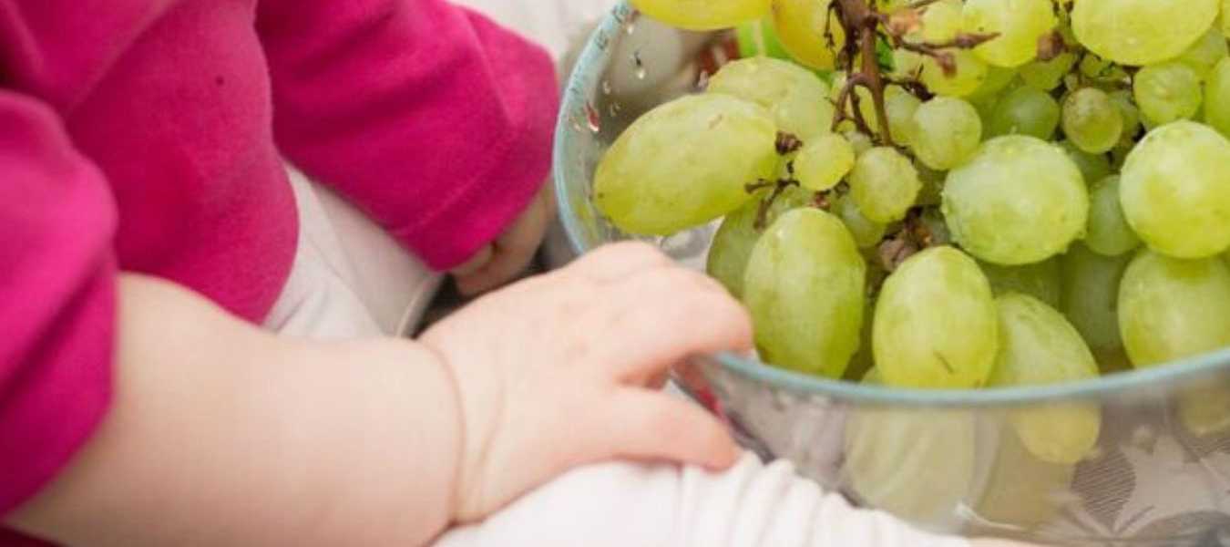 Featured Image 31075