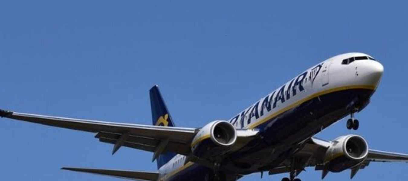 Featured Image 31343