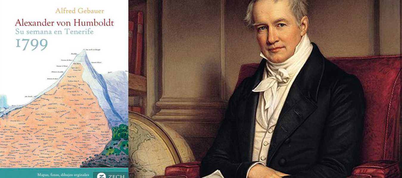 Featured Image 31443