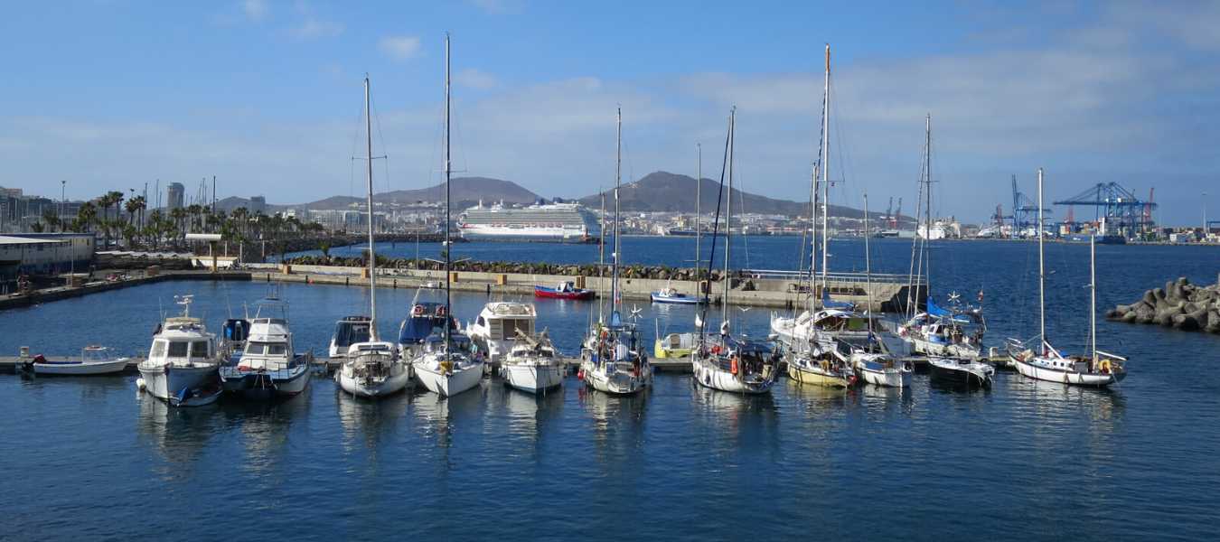 Featured Image 31497