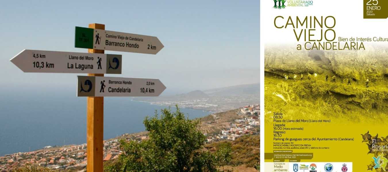 Featured Image 31565