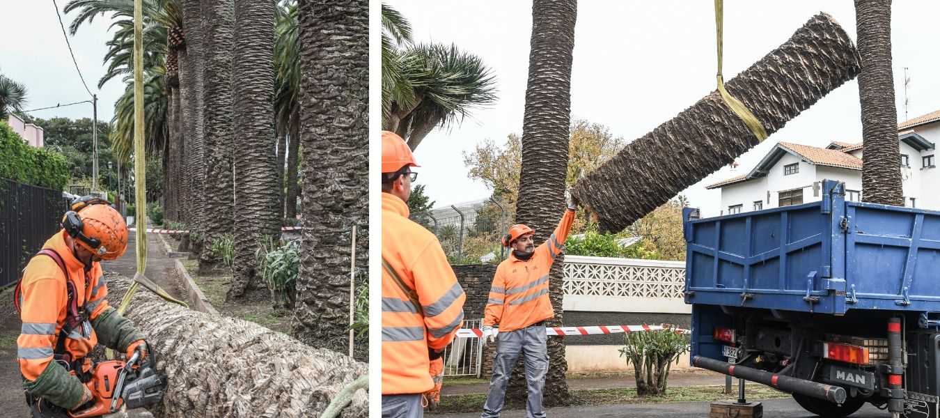 Featured Image 31685