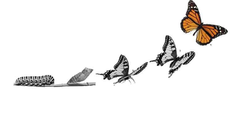 Featured Image 31857