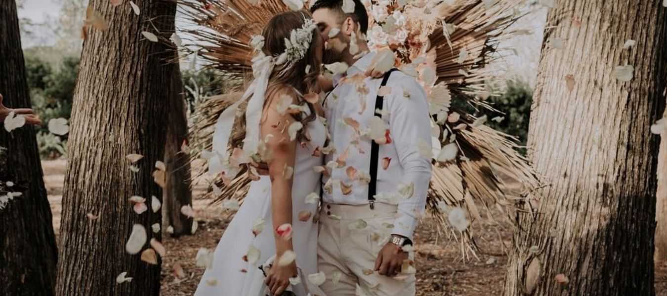 Featured Image 32005