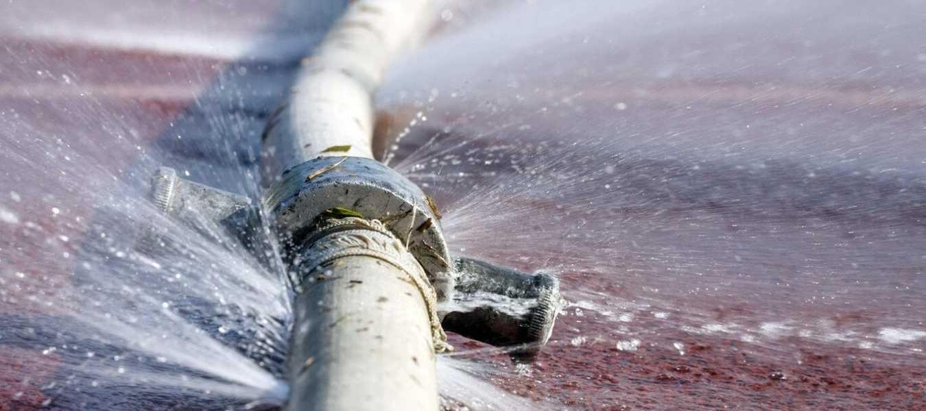 Featured Image 32035