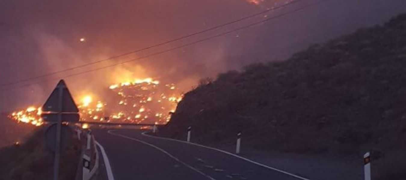 Featured Image 32713