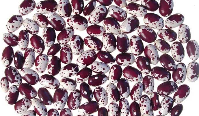 Featured Image 32779