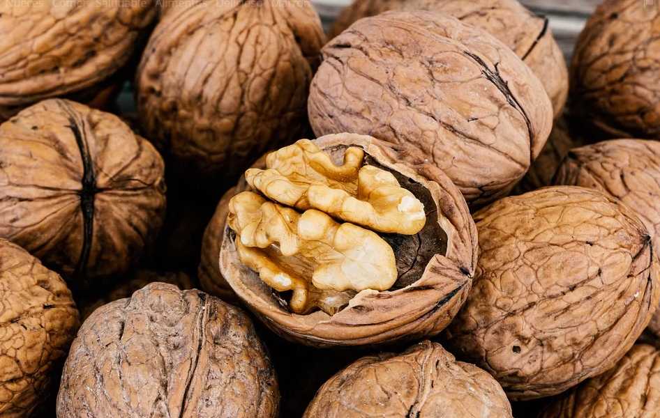 Featured Image 32781