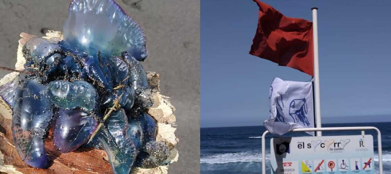 Featured Image 32791