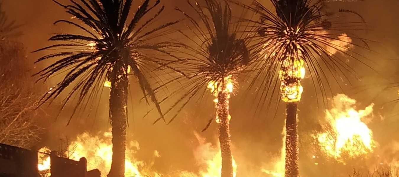 Featured Image 32799