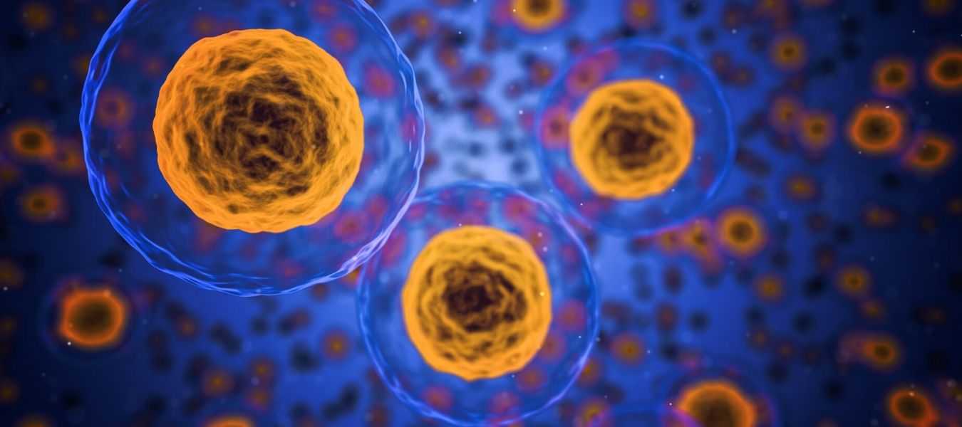 Featured Image 32851