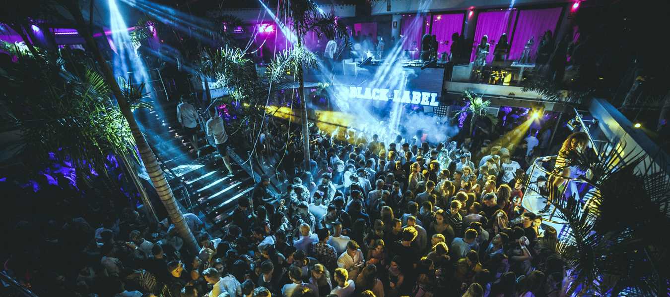 Featured Image 32853