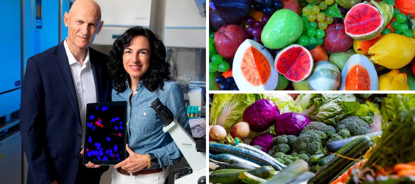 Featured Image 32863