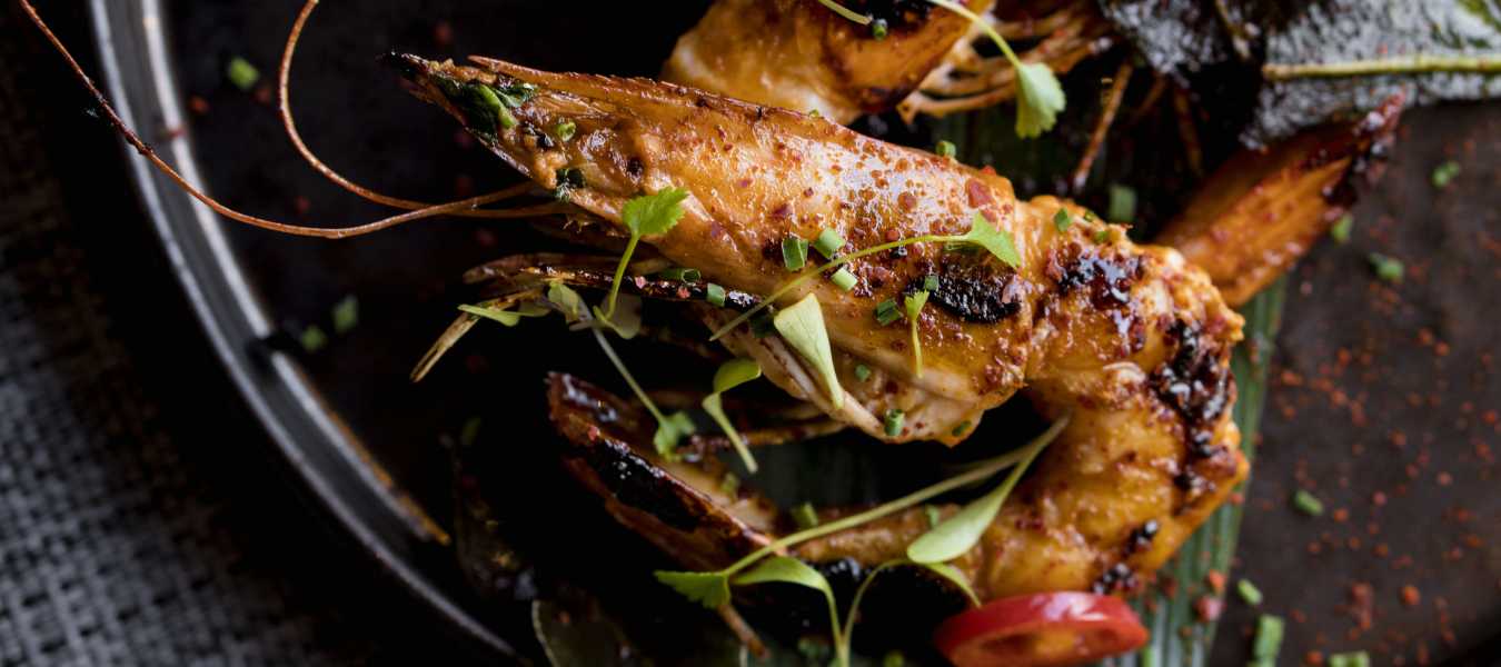 Featured Image 33015