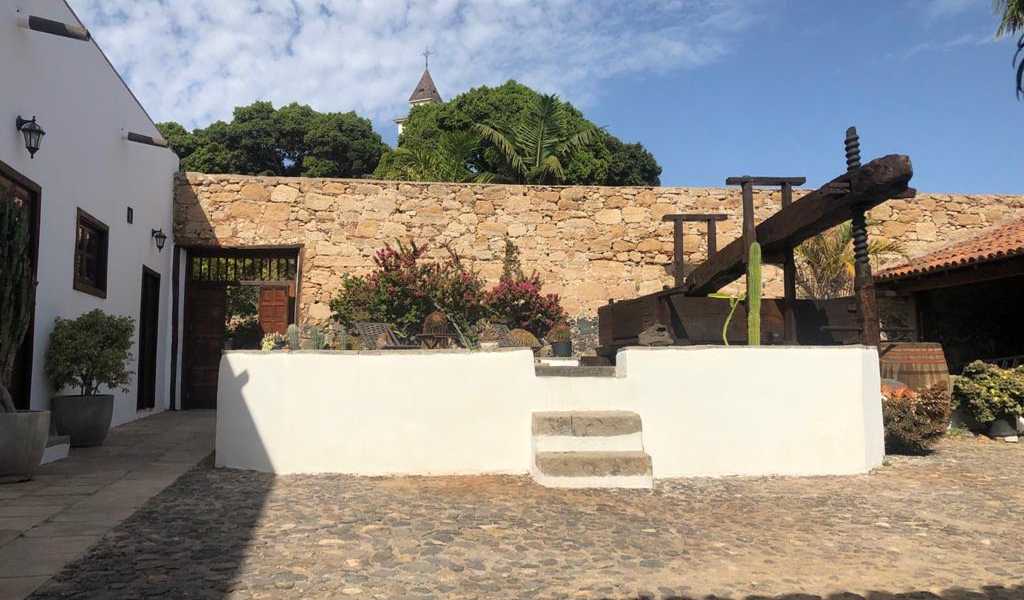 Featured Image 33035