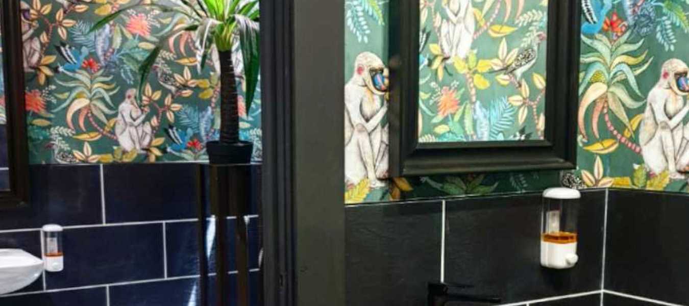 Featured Image 33081