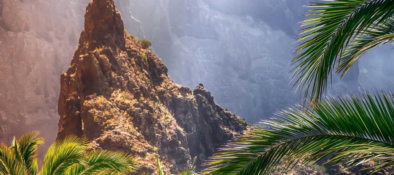 Featured Image 33203