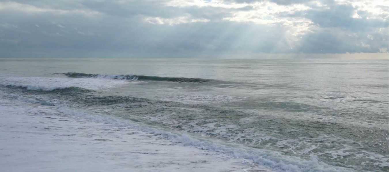 Featured Image 33417