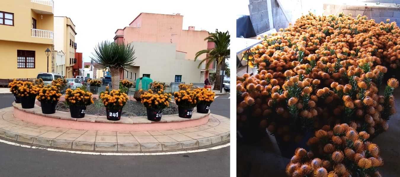 Featured Image 33439