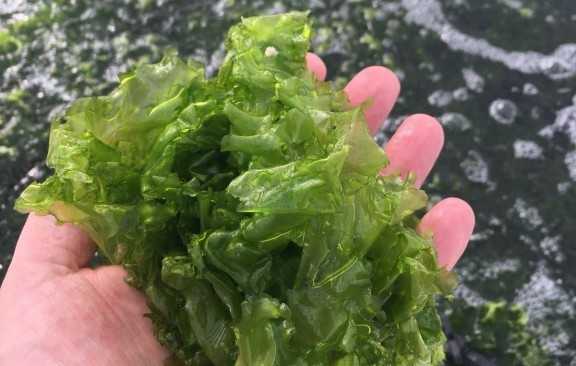 Featured Image 33463