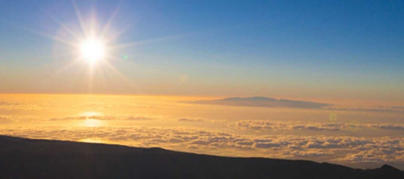 Featured Image 33597