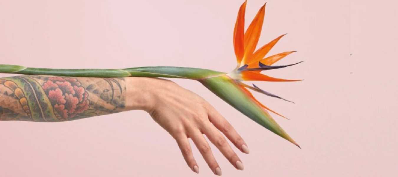 Featured Image 33623