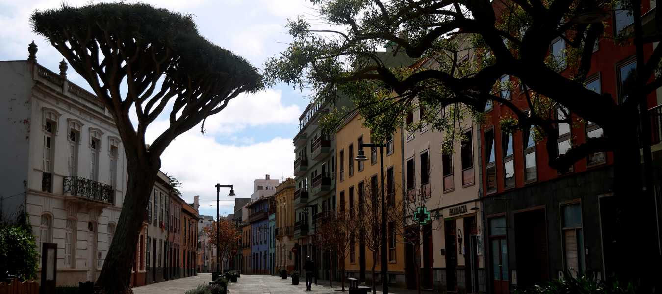 Featured Image 33675