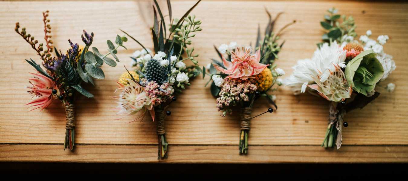 Featured Image 34037