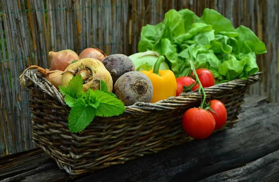 Featured Image 34419