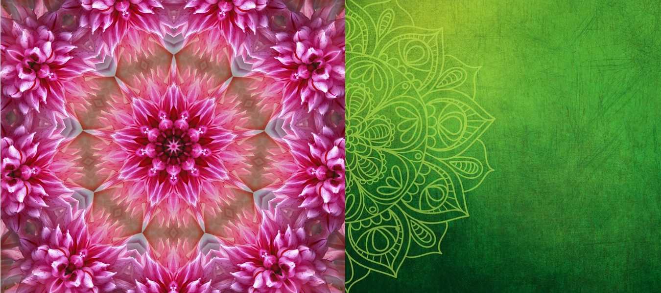 Featured Image 34695