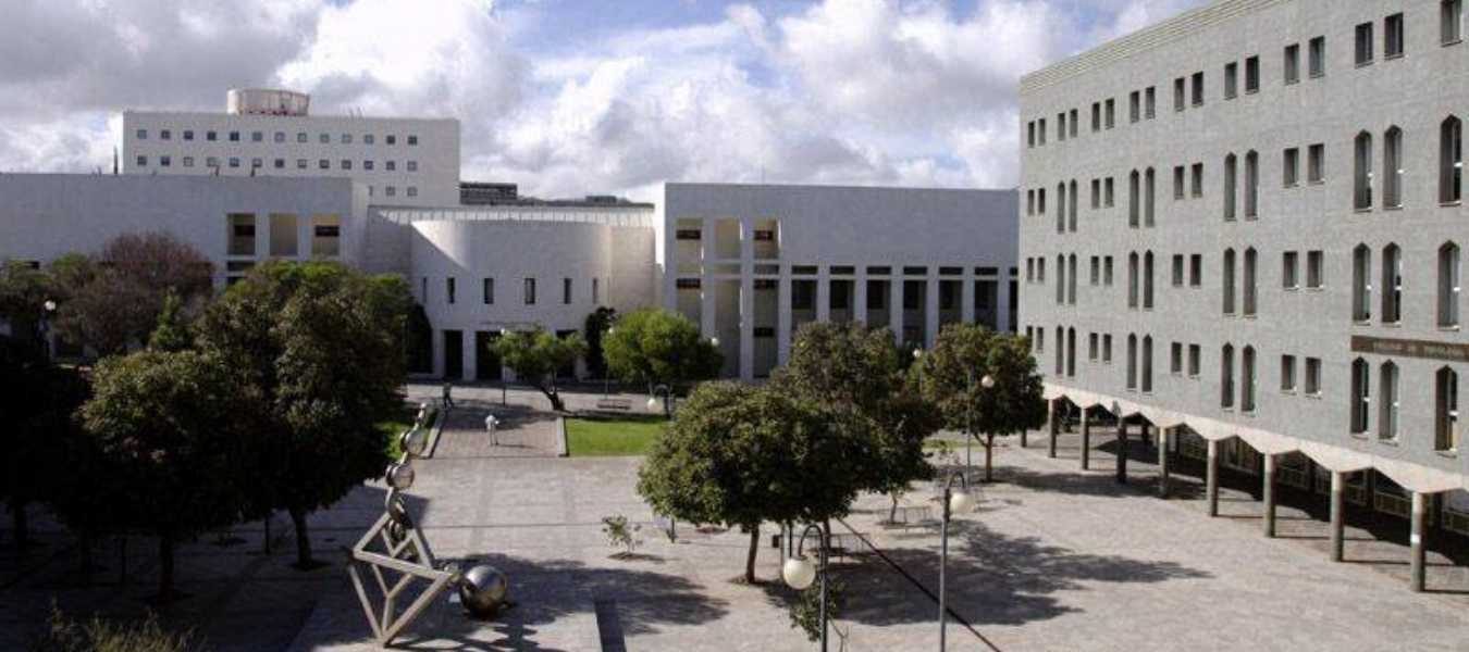 Featured Image 34923