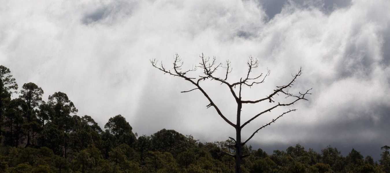 Featured Image 35063