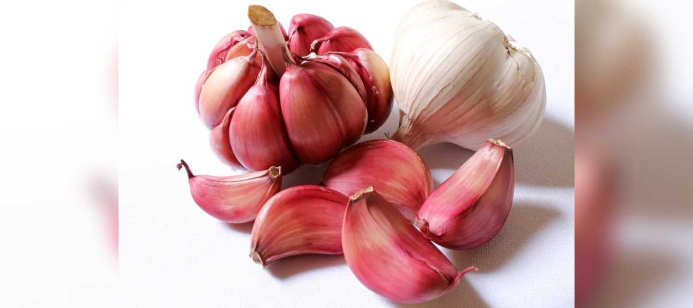 Featured Image 35335