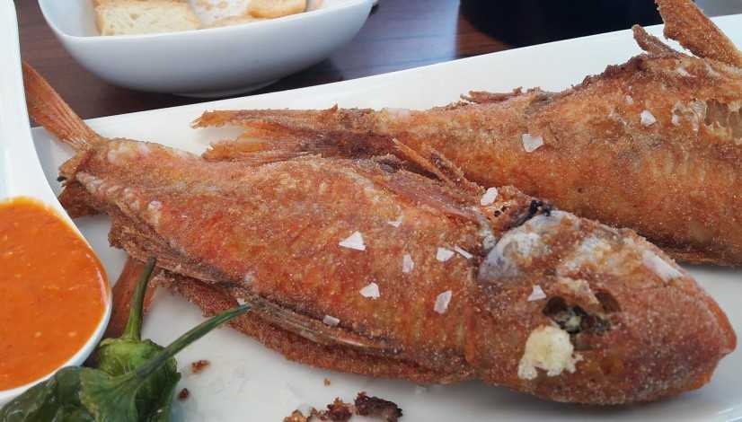 Featured Image 35531