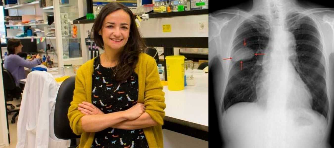 Featured Image 35535