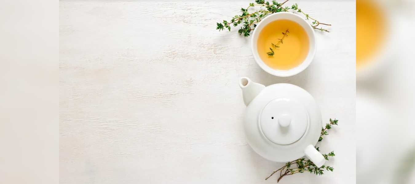 Featured Image 35595