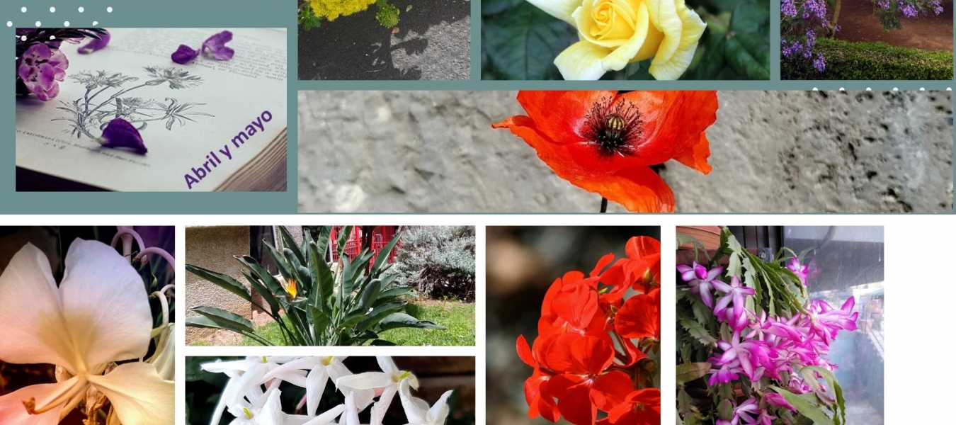 Featured Image 35635