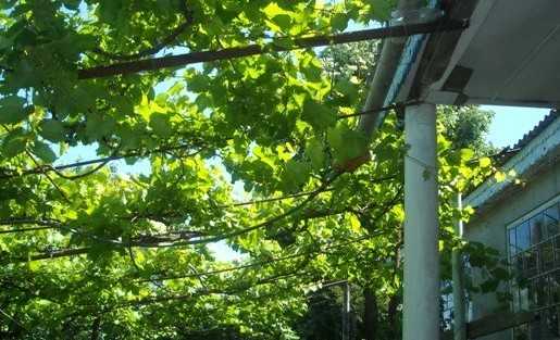 Featured Image 36021