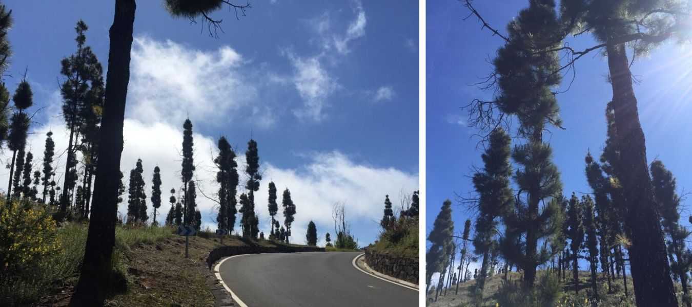 Featured Image 36085