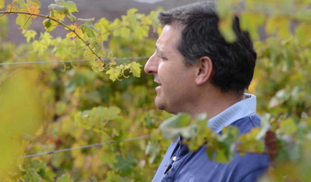 Featured Image 36291