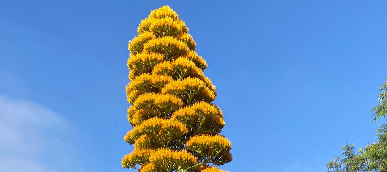 Featured Image 36349